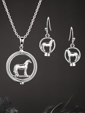 Montana Silversmiths Horses‎ Of The World AQHA Jewelry Set Retail $130 ~ NEW